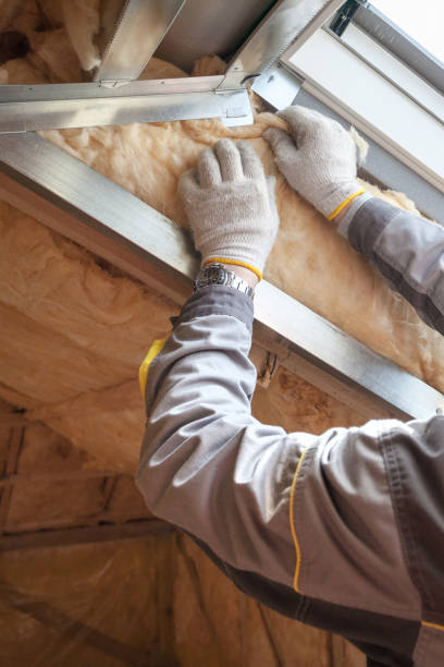 Best Commercial Insulation in Pantego, TX